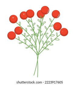 vector image branch of with berry fruit christmas decoration with white background