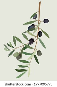 Vector image of a branch with green and black olives. Vivid flora image. Modern summer motives. Design for menus, cards, posters, templates, textiles, patterns, backgrounds, avatars.