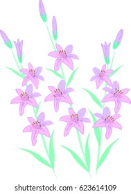  vector image, branches of pink lilies