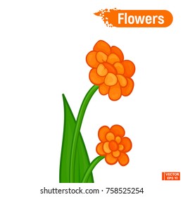 Vector image. Bright color sketch. Orange abstract flowers
