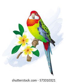 Vector image of a bright little parakeet on a blossoming tree branch