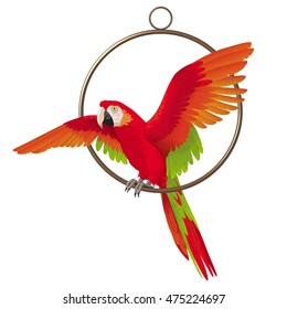 Vector image of bright parrot sitting in a ring