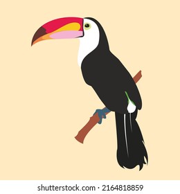 Vektorbild eines hellen tropischen Toucan-Vogels auf floralem Hintergrund. tropische Natur.