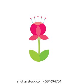 Vector image of bright unusual flower.