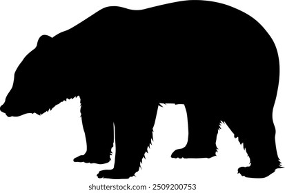 Vector image of a brown bear