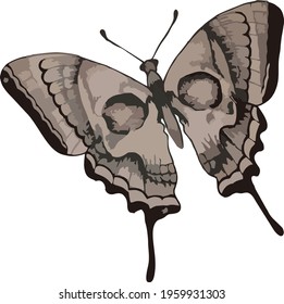 Vector image of brown butterfly illustration