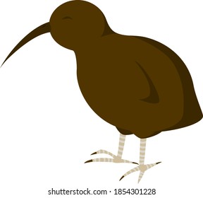 Vector image of a brown kiwi bird on a transparent background