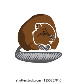 Vector image of brown river beaver