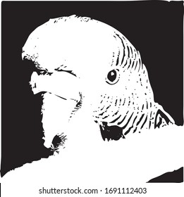 Imagen vectorial de un budgie en blanco y negro.