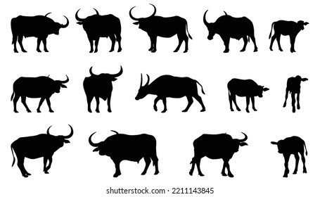 Vector image of an buffalo on white background.vector isolated buffalo with black color design illustration