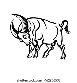 Vector image of an buffalo on white background