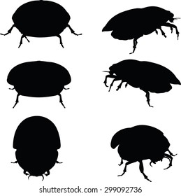 Vector Image - bug scarab attacking silhouette isolated on white background
