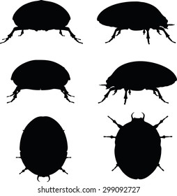 Vector Image - bug scarab silhouette isolated on white background
