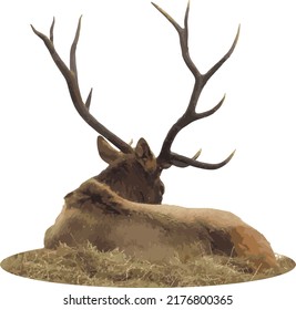 Vector Image of a Bull Elk With Large Antlers 