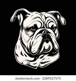 Vector image of bulldog, hand drawing graphic for print, black and white