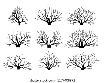 Vector Image bushes without leaves. Set. Autumn winter. Bushes. Fallen down leaves. Without leaf