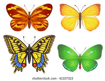 Vector image of a butterflies.