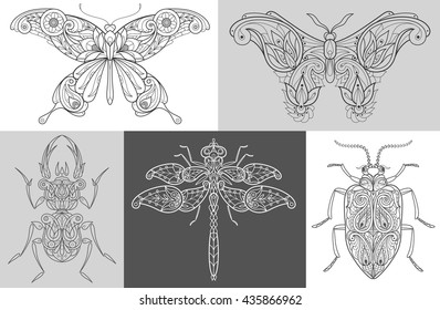 Vector Image butterflies, beetles, dragonfly. A set of abstract illustrations of insects. Black and white. The concept of unusual design objects of nature.