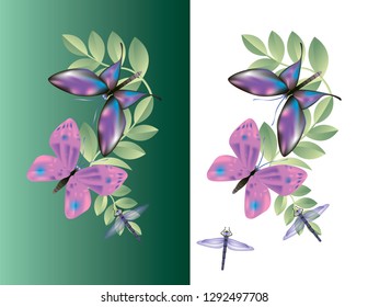 vector image of butterflies and dragonflies with gradient elements