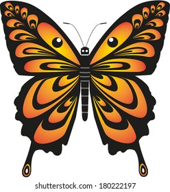 Vector image of butterfly isolated on white background