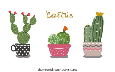 Vector image of cactus in flowerpots in hand drawn style.