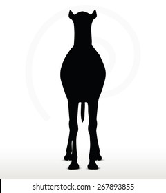 Vector Image - camel in default pose  isolated on white background
