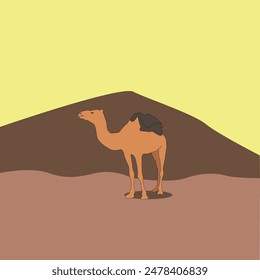 vector image of a camel in the desert