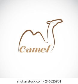 Vector image of an camel design on white background