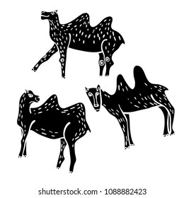 Vector image of a camel isolated object on a simple background