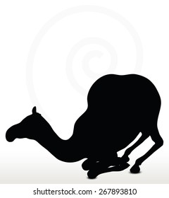 Vector Image - camel in Kneeling pose  isolated on white background
