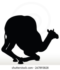Vector Image - camel in Kneeling pose  isolated on white background