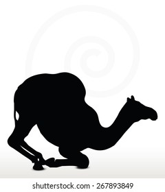 Vector Image - camel in Kneeling pose  isolated on white background