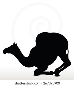 Vector Image - camel in Kneeling pose  isolated on white background