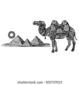 Vector image of a camel on a background of the pyramids