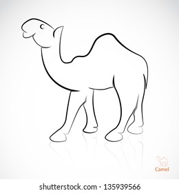 Vector image of an camel on white background