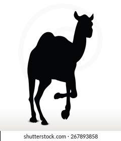 Vector Image - camel in Running pose  isolated on white background