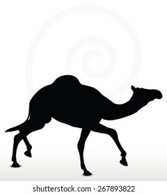 Vector Image - camel in Trotting pose  isolated on white background
