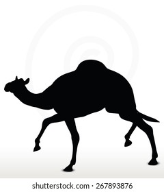 Vector Image - camel in Trotting pose  isolated on white background