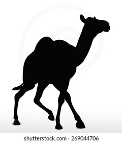 Vector Image - camel in Trotting pose  isolated on white background
