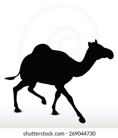 Vector Image - camel in Trotting pose  isolated on white background
