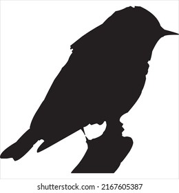 Vector, Image Of Canary Silhouette, Black And White Color, With Transparent Background