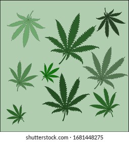 Vector image of a cannabis of different green shades on a green background - as a medicine approved in many countries of the world