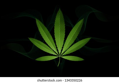 vector image of cannabis leaf. Cannabis leaf background in fog