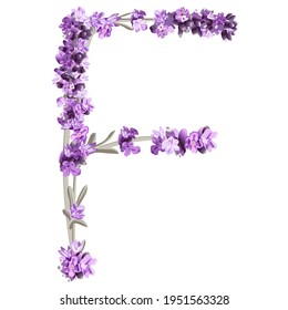 Vektorbild des Großbuchstaben F des englischen Alphabets in Form von Lavendelsprigs in hellen Farben auf weißem Hintergrund