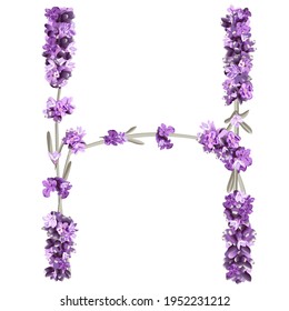 Vektorbild des Großbuchstabens H des englischen Alphabets in Form von Lavendelsprigs in hellen Farben auf weißem Hintergrund