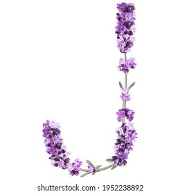 vector image of the capital letter J of the English alphabet in the form of lavender sprigs in bright colors on a white background