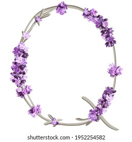 vector image of the capital letter Q of the English alphabet in the form of lavender sprigs in bright colors on a white background