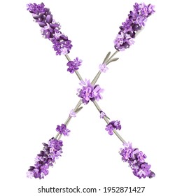 vector image of the capital letter X of the English alphabet in the form of lavender sprigs in bright colors on a white background