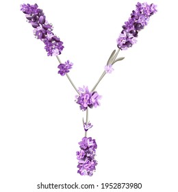 vector image of the capital letter Y of the English alphabet in the form of lavender sprigs in bright colors on a white background
