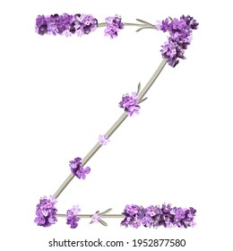 vector image of the capital letter Z of the English alphabet in the form of lavender sprigs in bright colors on a white background